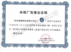 央视广告